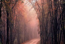 Data.DB.TDataSet.Last技能使用说明