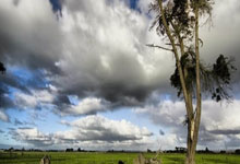 Python tuple元组操作