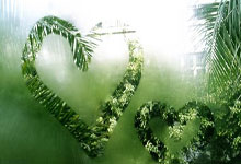 Python list列表查找元素之index和count方法