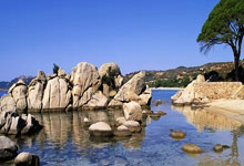 Bde.DBTables.TBDEDataSet.Post技能使用说明