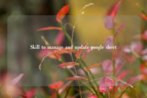 Skill to manage and update google sheet技能使用说明
