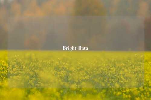 Bright Data