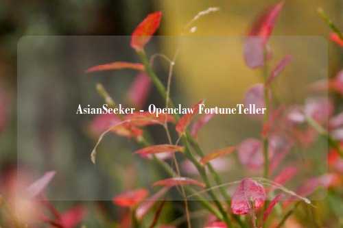 AsianSeeker - Openclaw FortuneTeller