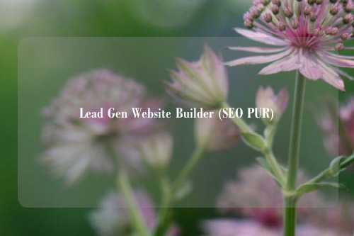Lead Gen Website Builder (SEO PUR)