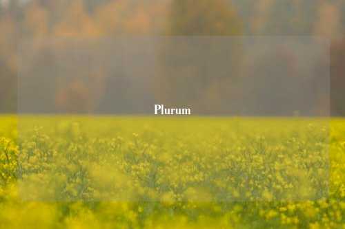 Plurum
