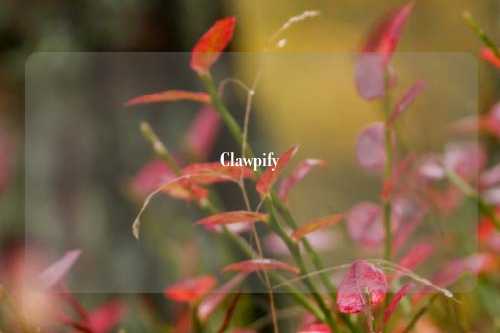Clawpify