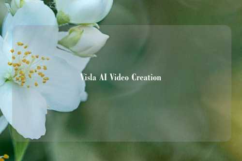 Visla AI Video Creation