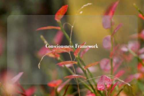 Consciousness Framework
