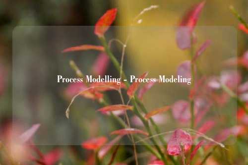 Process Modelling - Process Modeling