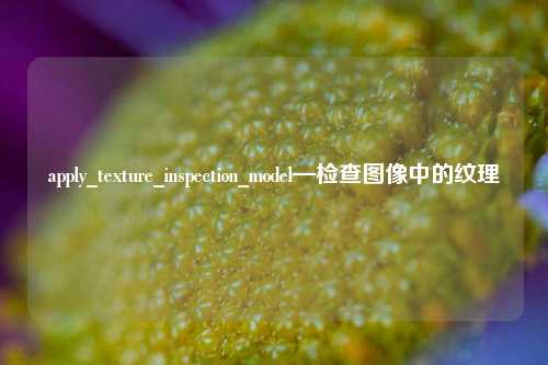 apply_texture_inspection_model—检查图像中的纹理