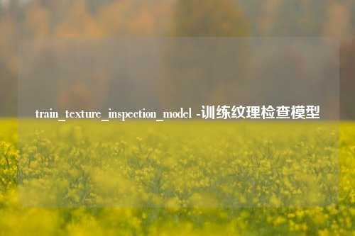 train_texture_inspection_model -训练纹理检查模型