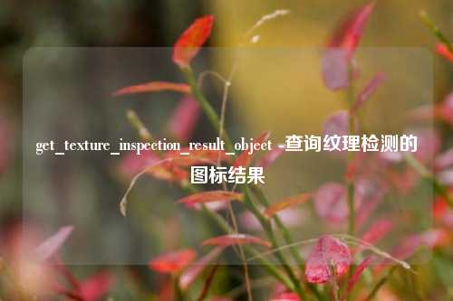 get_texture_inspection_result_object -查询纹理检测的图标结果